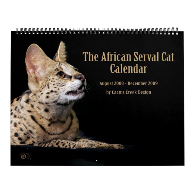 El calendario africano del gato del Serval (Tapa)