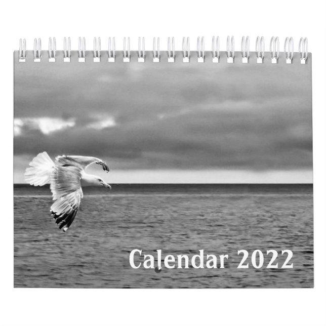 El calendario blanco y negro de la vida salvaje 20 (Tapa)