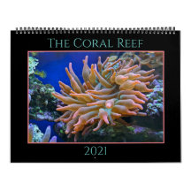 El calendario de arrecifes de coral