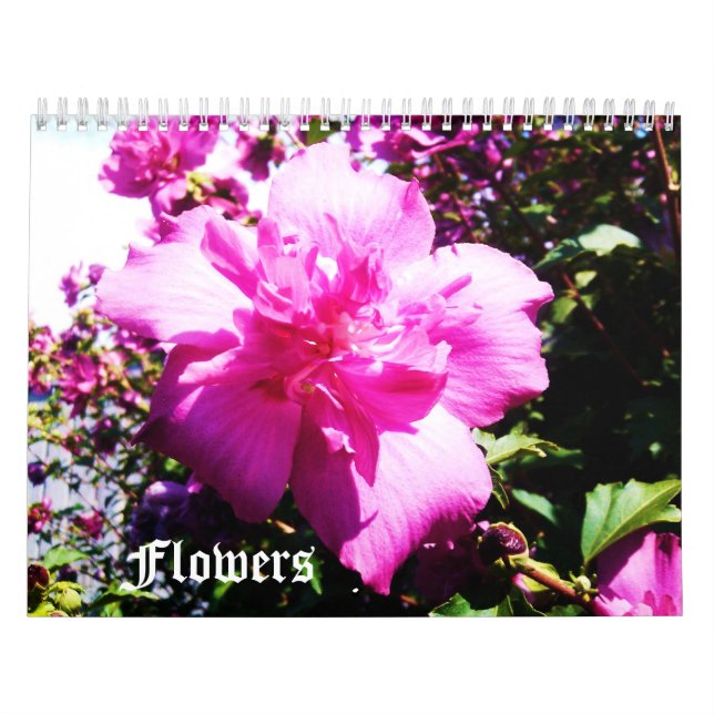 EL calendario de BELLEZA DE LAS FLORES (Tapa)