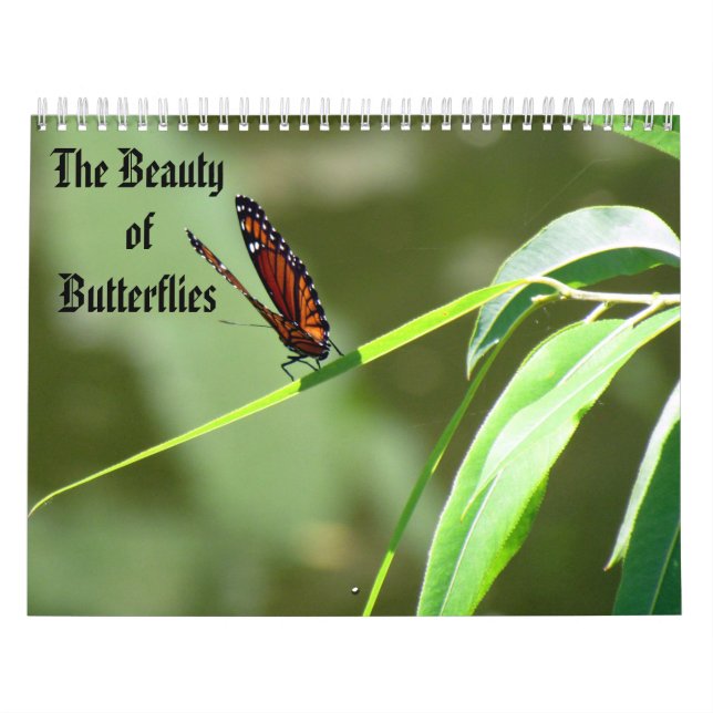 El calendario de belleza de las mariposas (Tapa)