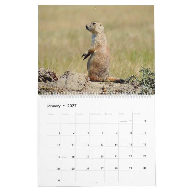 El calendario de cola negra del perro de las (Jan 2027)