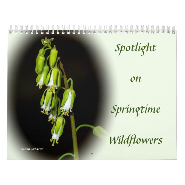 El calendario de flores silvestres en Springtime (Tapa)
