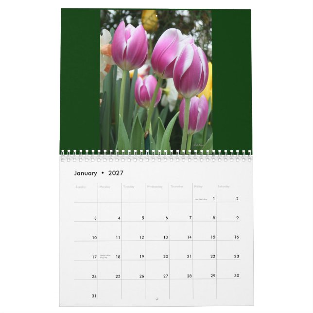 ¡El calendario de Karen!  2011 (Jan 2027)