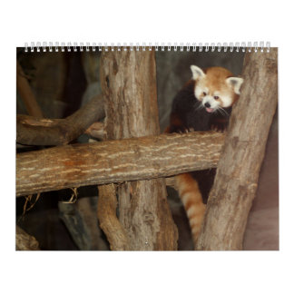 El calendario de la foto de la fauna