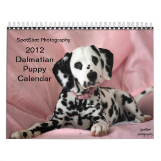 El calendario de la fotografía 2012 de SpotShot