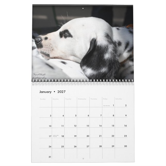 El calendario de la fotografía 2012 de SpotShot (Jan 2027)