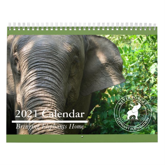 El calendario de la Fundación para el Elefante 202 (Tapa)