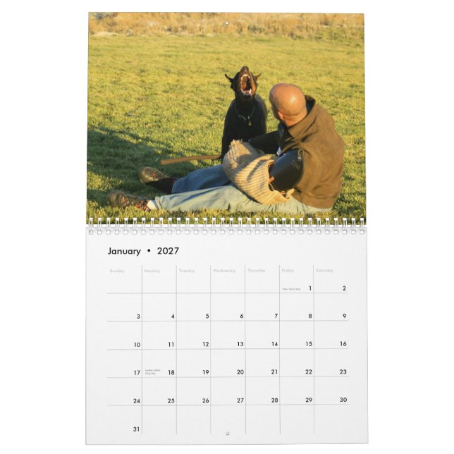 El calendario de la protección del Doberman puso (Jan 2027)