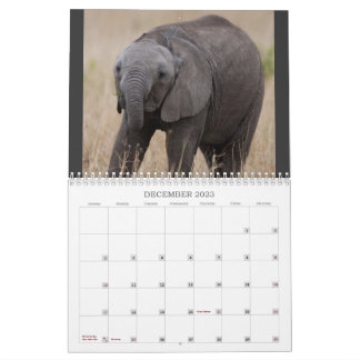El calendario de los 5 mayores de Kenia