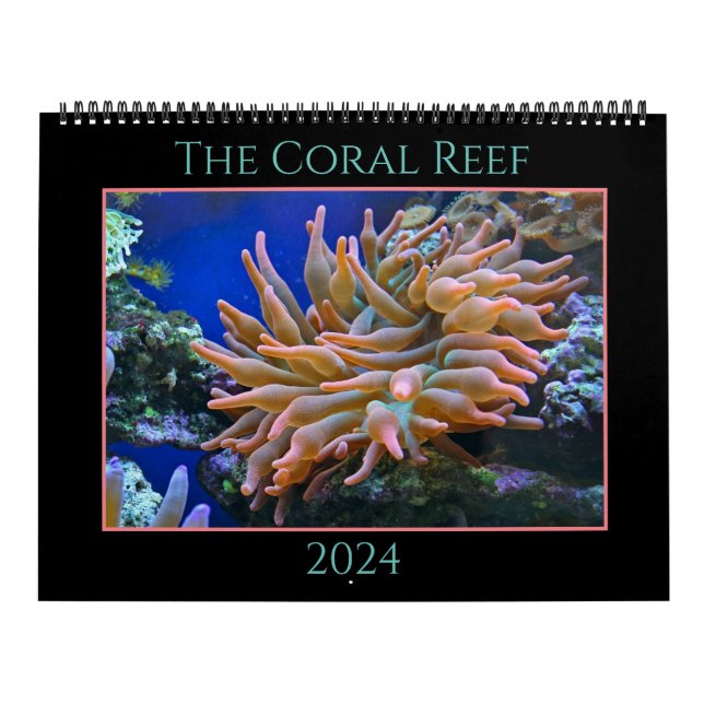 El calendario de los arrecifes de coral (Tapa)
