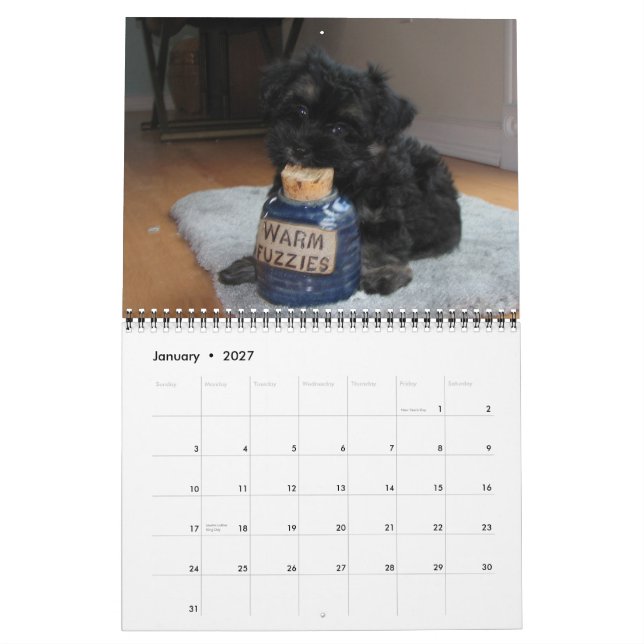 El calendario de los cachorros de rescate de Haván (Jan 2027)