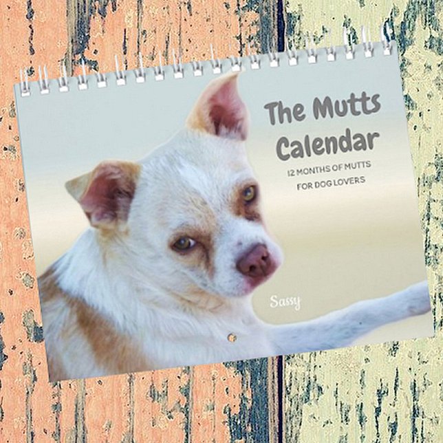 El calendario de mascotas para los amantes de los  (Subido por el creador)
