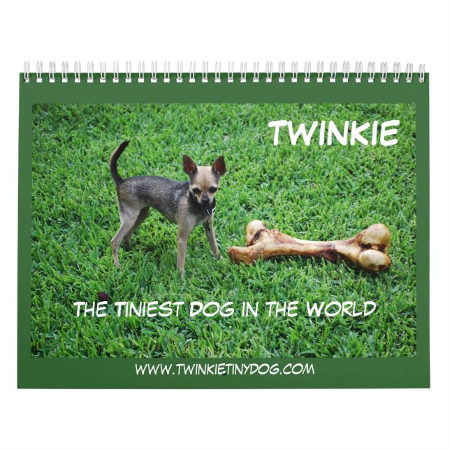 EL CALENDARIO DE TWINKIE (Tapa)