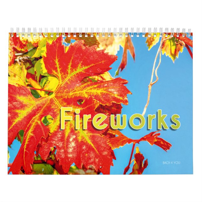 El calendario de Wine Wall - Fuegos artificiales. (Tapa)