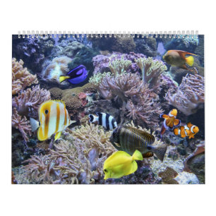 El calendario del acuario