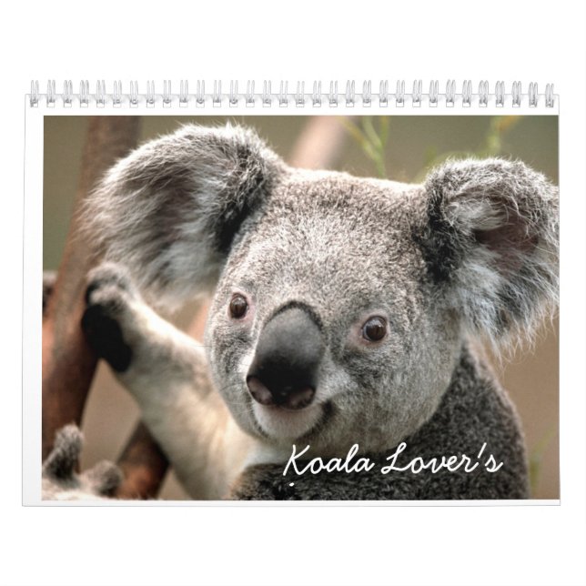 El calendario del amante de la koala (Tapa)