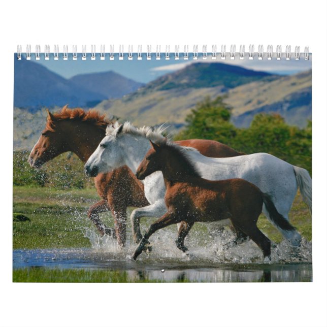 El calendario del amante del caballo (Tapa)