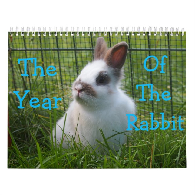 El Calendario Del Año Del Conejo (Tapa)
