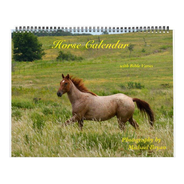 El calendario del caballo con la biblia versifica (Tapa)
