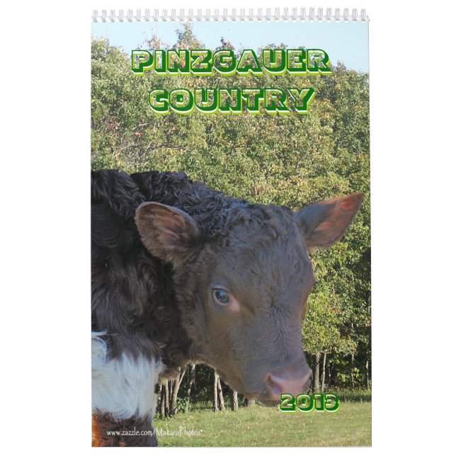 El calendario del ganado de Pinzgauer 2013 (Tapa)