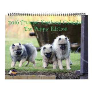 El calendario del Keeshond de 2016 trompetas: