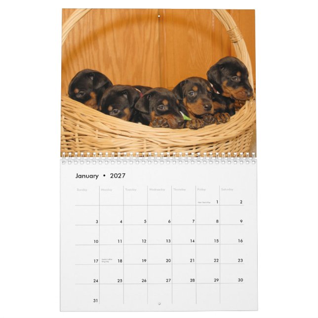 El calendario del perrito del Doberman puso al día (Jan 2027)