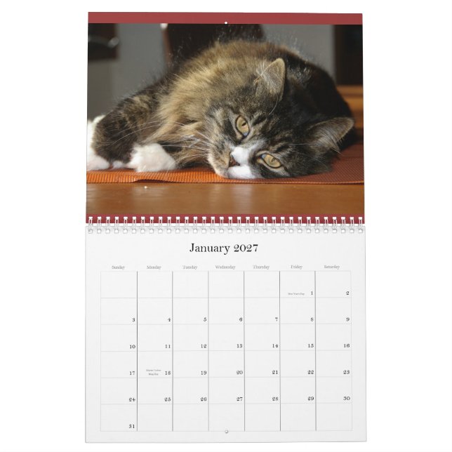 El calendario del petirrojo (Jan 2027)