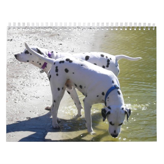 El calendario DogWood 2007 (Tapa)