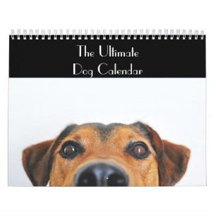 El calendario final del perro