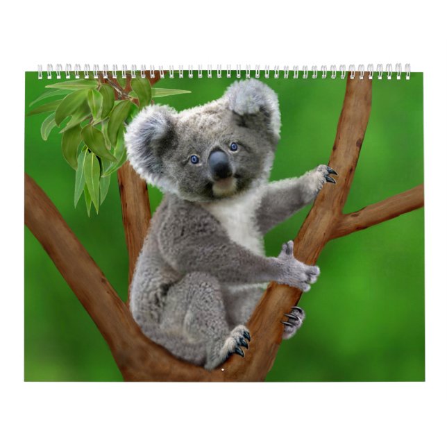 El calendario mensual más lindo de la naturaleza (Tapa)