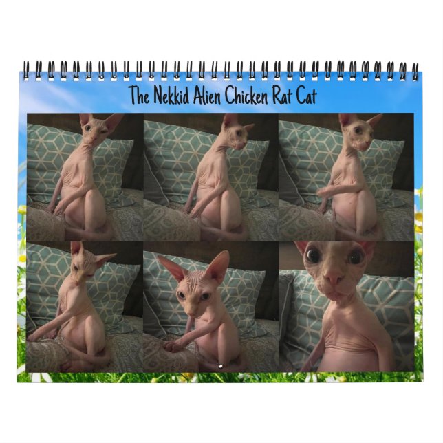 El calendario para extranjeros Nekkid 2024 (Tapa)