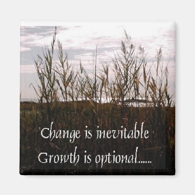 El cambio es un imán inevitable (Frente)