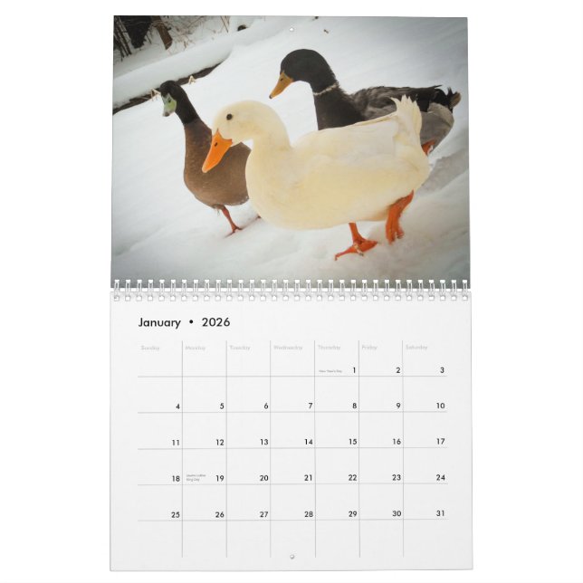 El caminar Ducks el calendario 2015 (Jan 2026)