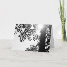 El caminar en la tarjeta de nota de Sun w/envelop