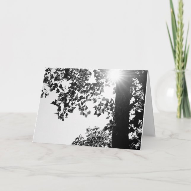 El caminar en la tarjeta de nota de Sun w/envelop (Anverso)