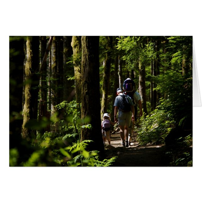 El caminar en las maderas (Anverso (Horizontal))