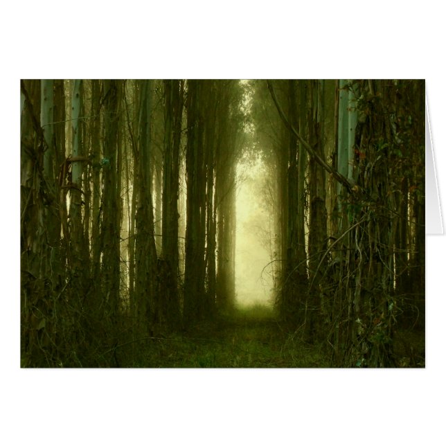 El camino a mi corazón (Anverso (Horizontal))