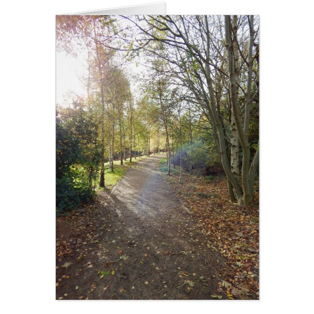 El camino hermoso (Frente)