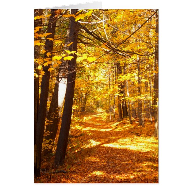 El camino no tomado (Frente)