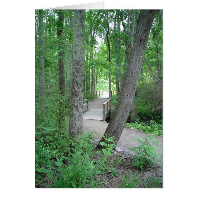 El Camino Rara Vez Viajado (Frente)