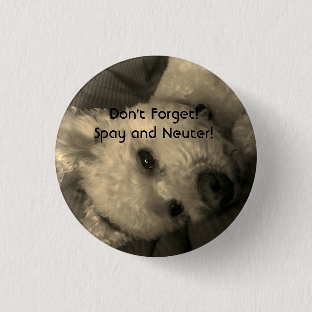 El caniche Spay y neutraliza el botón del promo (Anverso)