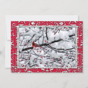 El cardenal Navidad fotográfico de árbol de nieve