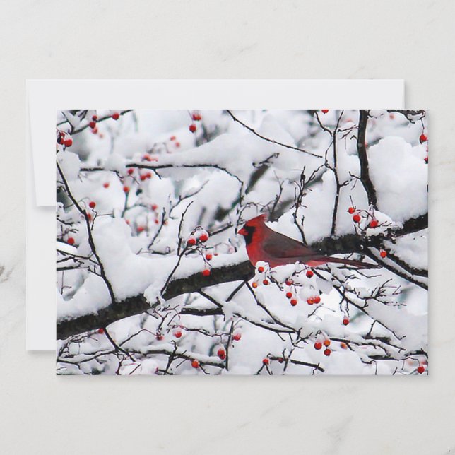 El cardenal rojo Navidad foto árbol de nieve plana (Anverso)