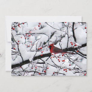 El cardenal rojo Navidad foto árbol de nieve plana