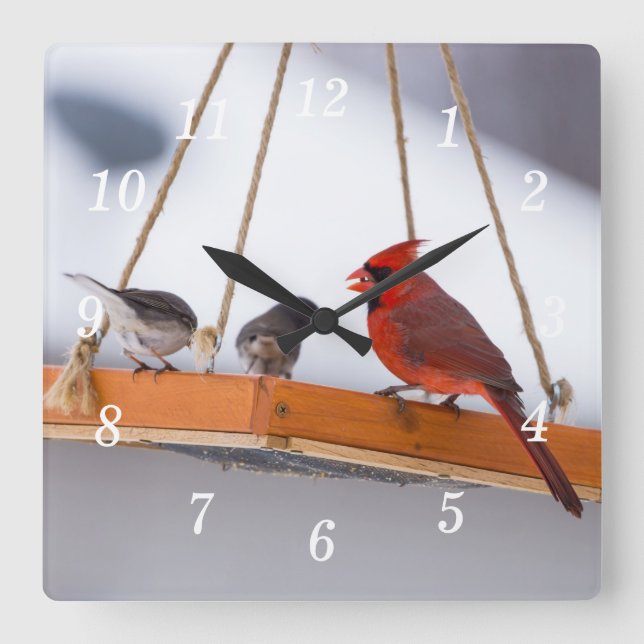 El cardenal y el reloj de pared Juncos (Anverso)