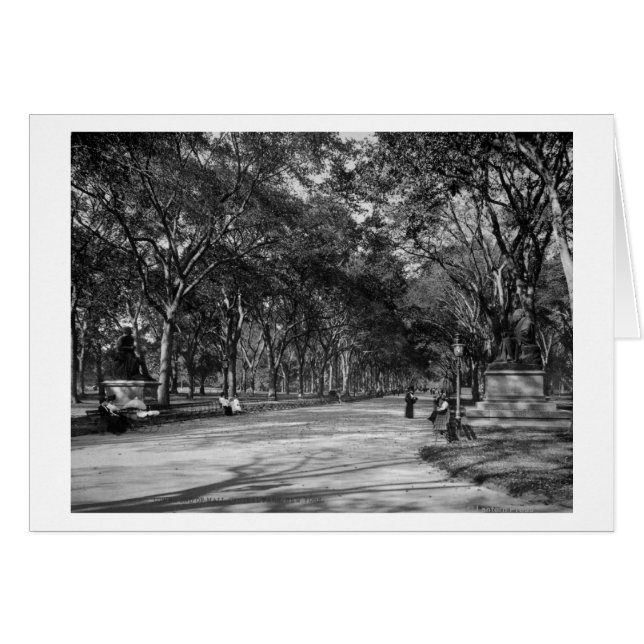 El centro comercial Central Park en la ciudad de N (Anverso (Horizontal))