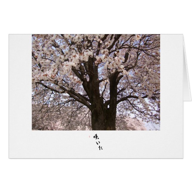 El cerezo en Japón 1 (Anverso (Horizontal))