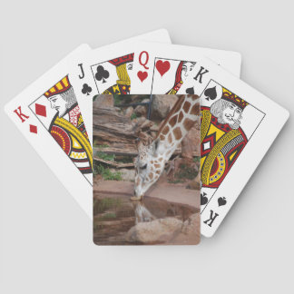 El chico duro juega cartas