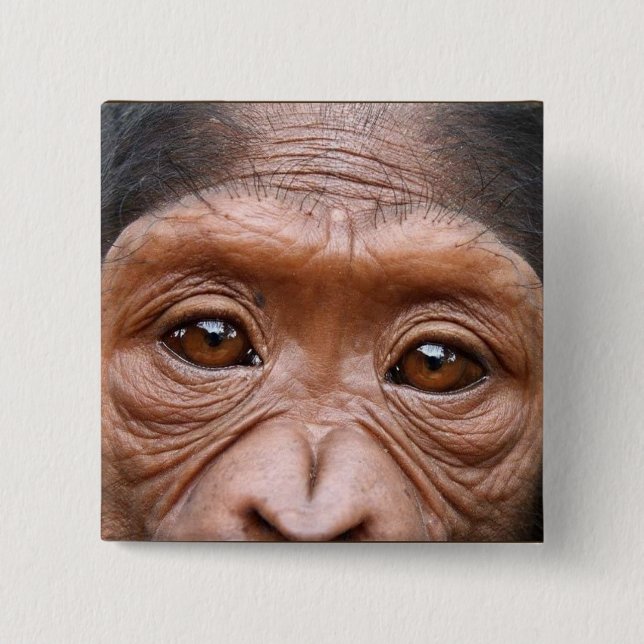 EL CHIMPANCÉ OBSERVA EL BOTÓN (Anverso)